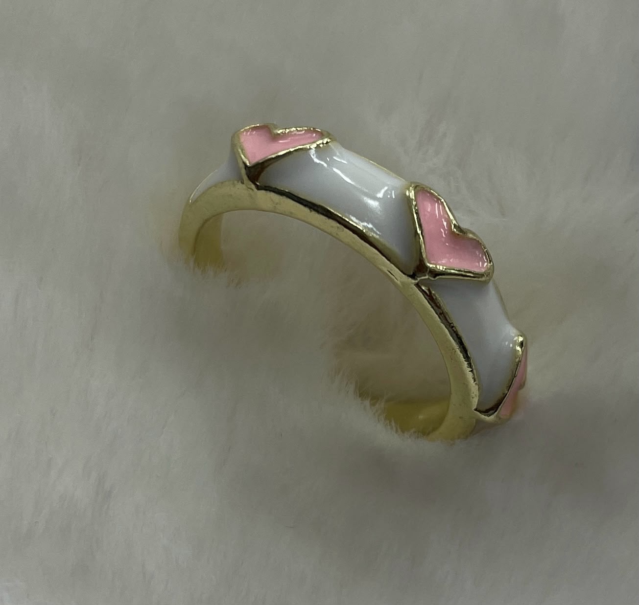 FR-0100